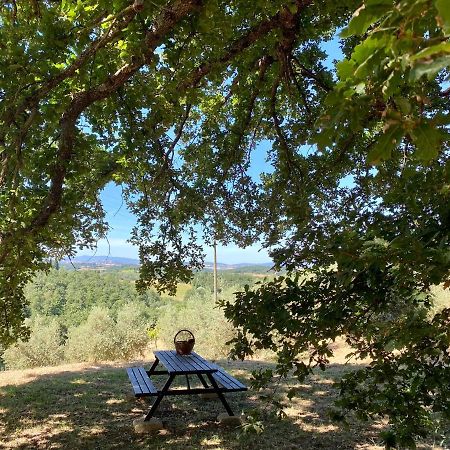 La Casina Della Quercia, Your Tuscan Oak Tree House Osteria Delle Noci 外观 照片