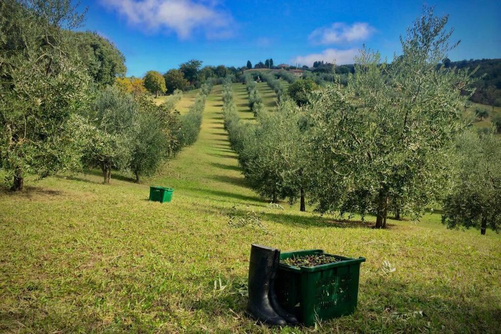 La Casina Della Quercia, Your Tuscan Oak Tree House Osteria Delle Noci 外观 照片