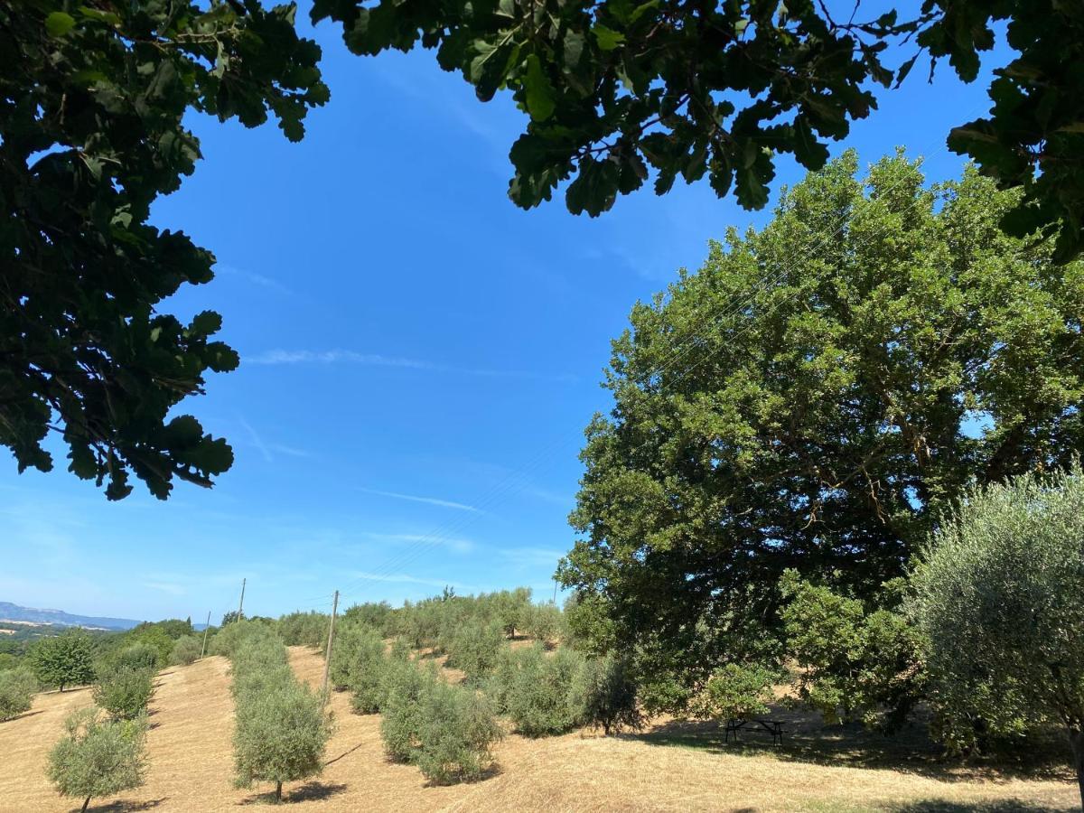 La Casina Della Quercia, Your Tuscan Oak Tree House Osteria Delle Noci 外观 照片