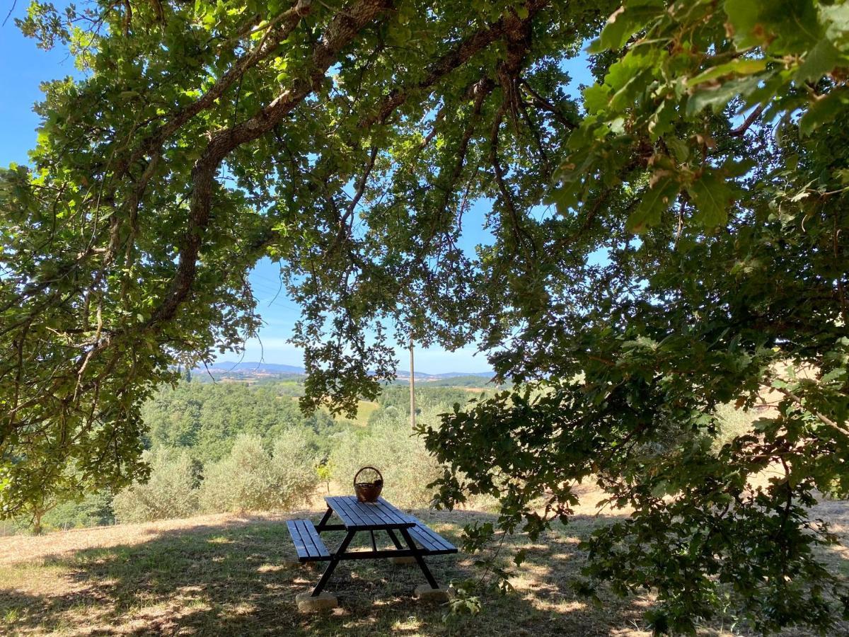 La Casina Della Quercia, Your Tuscan Oak Tree House Osteria Delle Noci 外观 照片