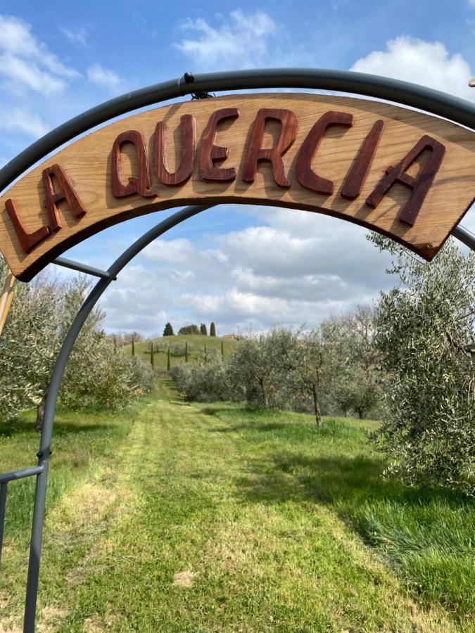 La Casina Della Quercia, Your Tuscan Oak Tree House Osteria Delle Noci 外观 照片